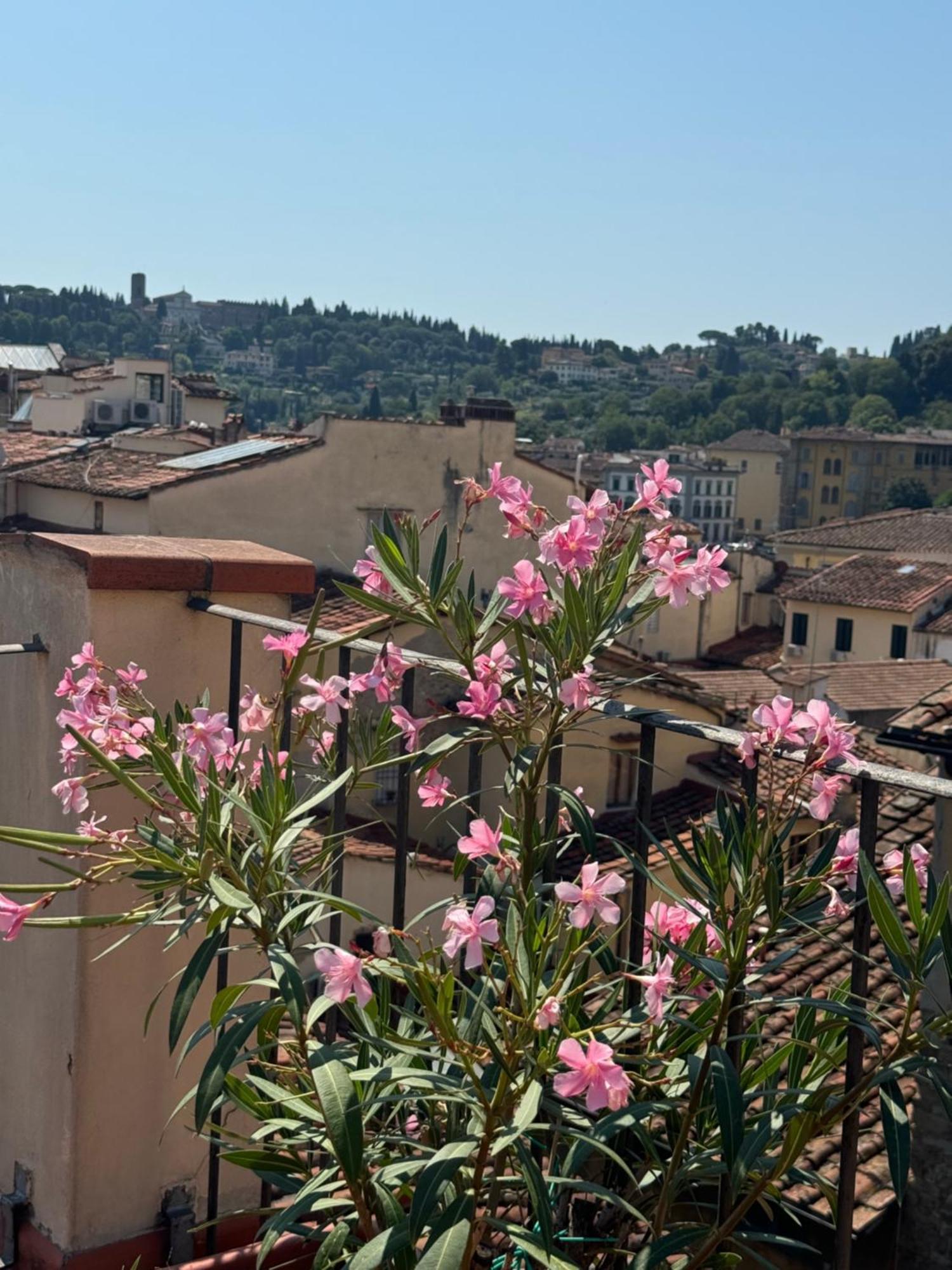Firenze Panorama Suite & Terrace מראה חיצוני תמונה